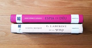 ESPIA DE DÈU - EL LABERINT DE LA SERP