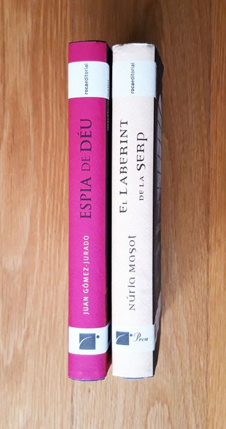 ESPIA DE DÈU - EL LABERINT DE LA SERP