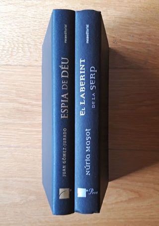 ESPIA DE DÈU - EL LABERINT DE LA SERP