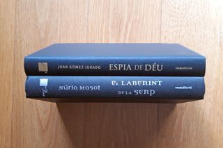 ESPIA DE DÈU - EL LABERINT DE LA SERP