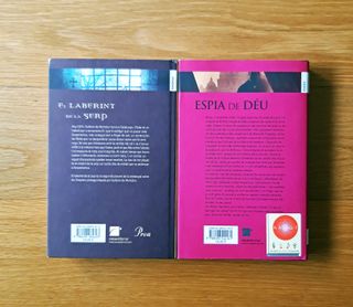 ESPIA DE DÈU - EL LABERINT DE LA SERP