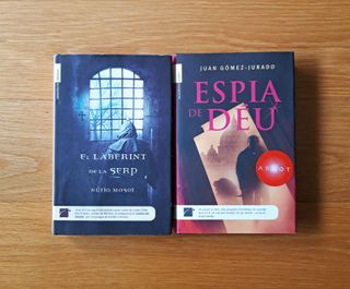 ESPIA DE DÈU - EL LABERINT DE LA SERP