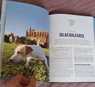 España con perro. Pipper on tour. NUEVO