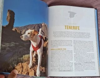 España con perro. Pipper on tour. NUEVO
