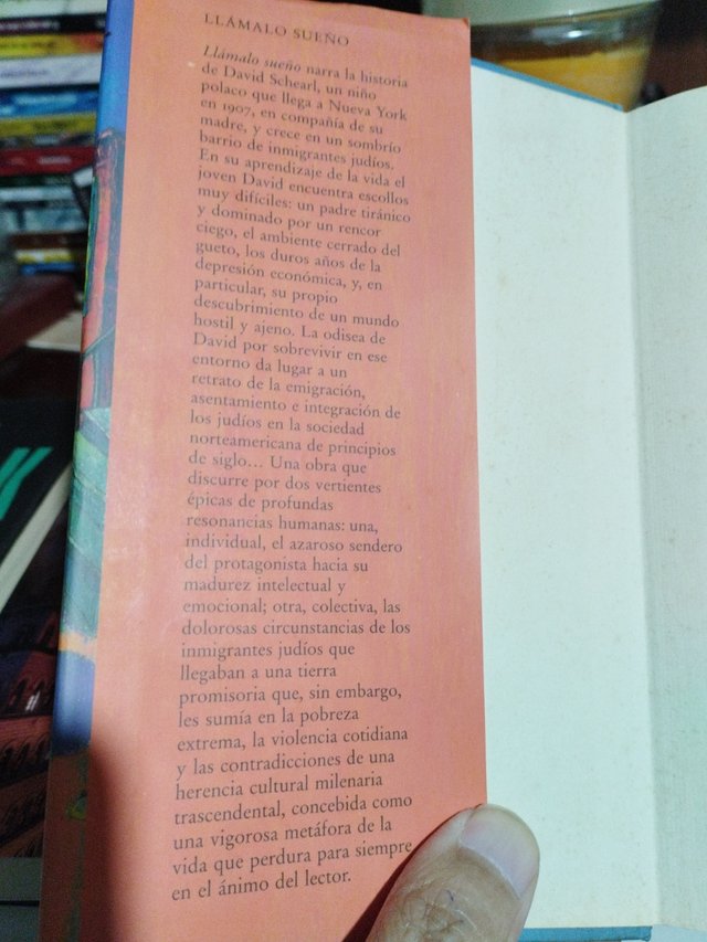 Llámalo sueño - Henry Roth