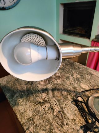 Lámpara de escritorio.