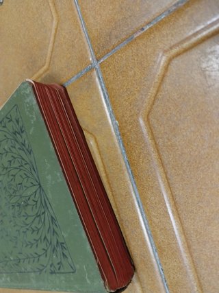 La Biblia Interconfesional: El Nuevo Testamento