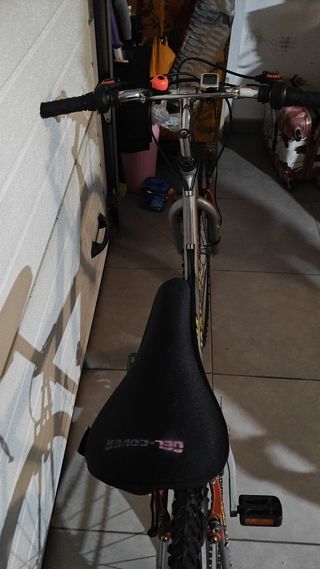 Bicicleta de montaña