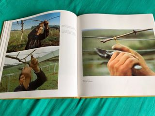 O Viño/El Vino/Wine (edición de lujo)