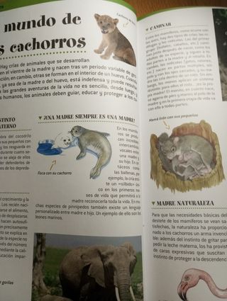 El gran libro de los animales