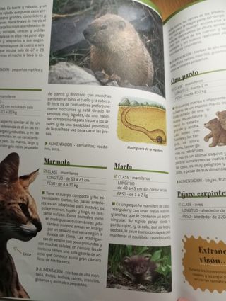 El gran libro de los animales