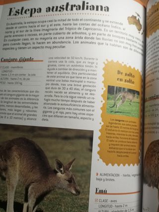 El gran libro de los animales