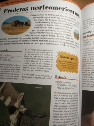 El gran libro de los animales