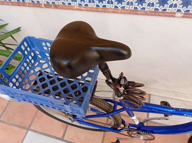 Bicicleta paseo