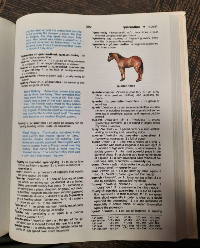 Webster's Basic English Dictionary