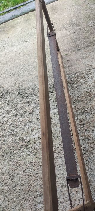 Sierra portuguesa de carpintero