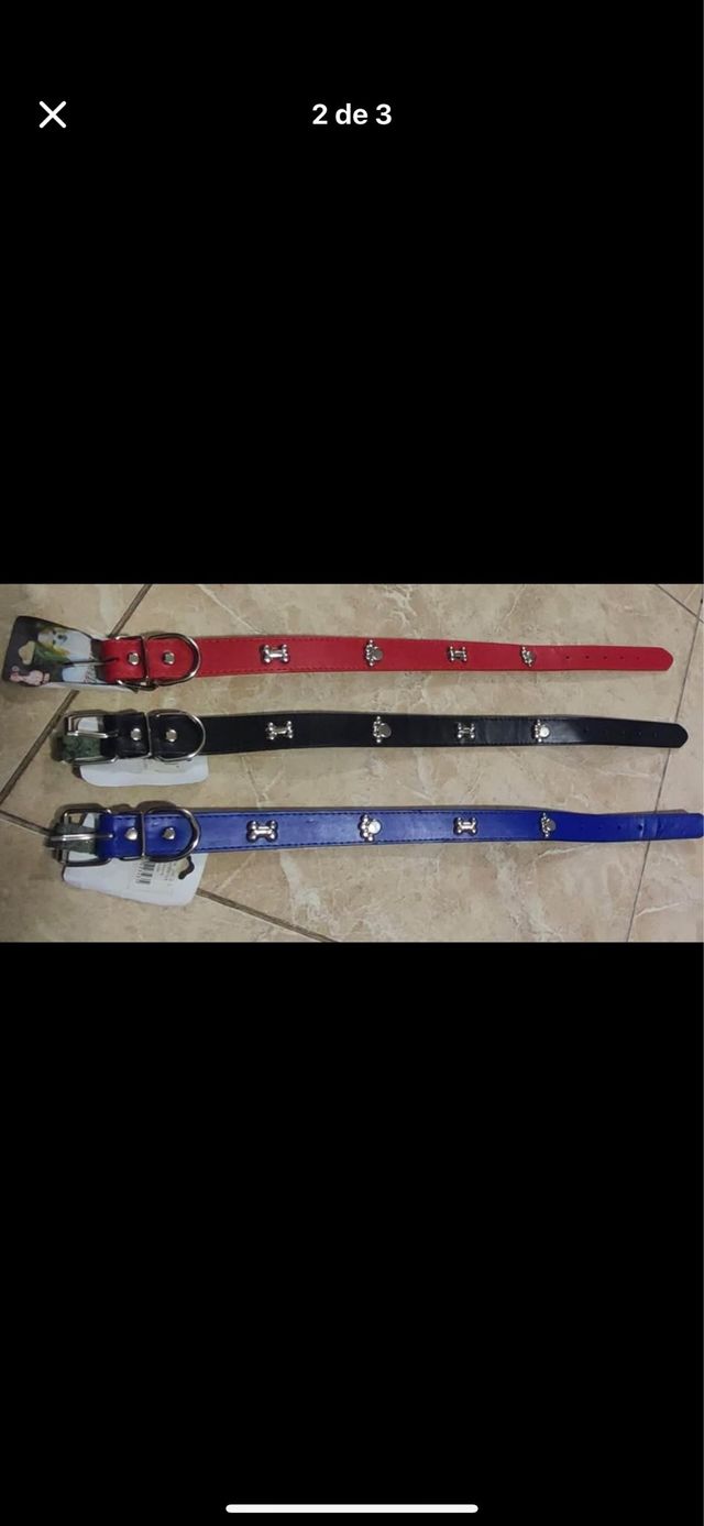 Collares de perro