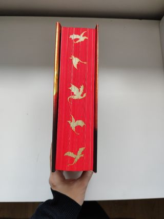 Alas de hierro (Empíreo 2)