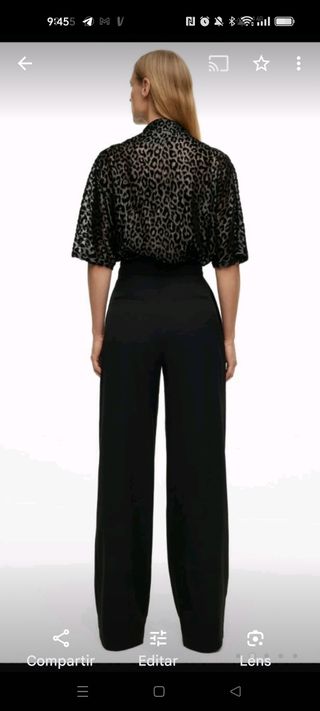 Mono Zara Edición Limitada