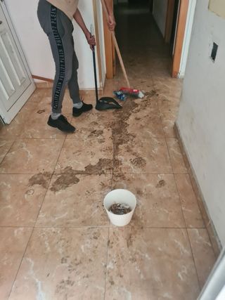 Vaciamos pisos casas locales naves