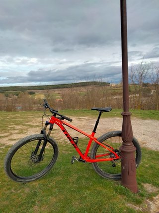 TREK ROSCOE 8