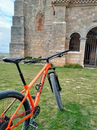 TREK ROSCOE 8