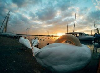 Xiaomi Yi 4k Cámara de acción