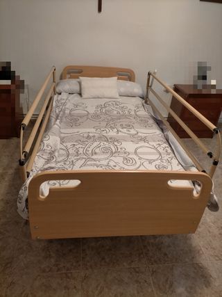 Cama articulada con carro elevador