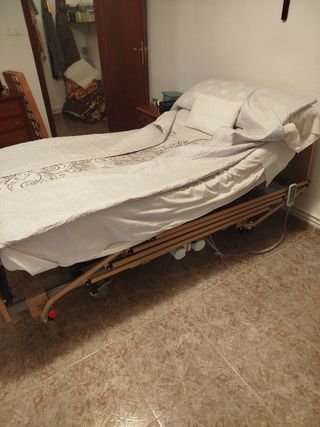 Cama articulada con carro elevador