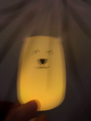 Lampada a forma di orso che cambia colore 