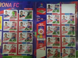 559 cromos sin repetir,pegados.Liga Este