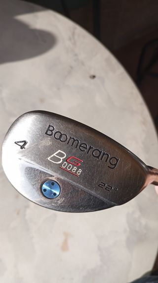 Bolsa y Palos de Golf