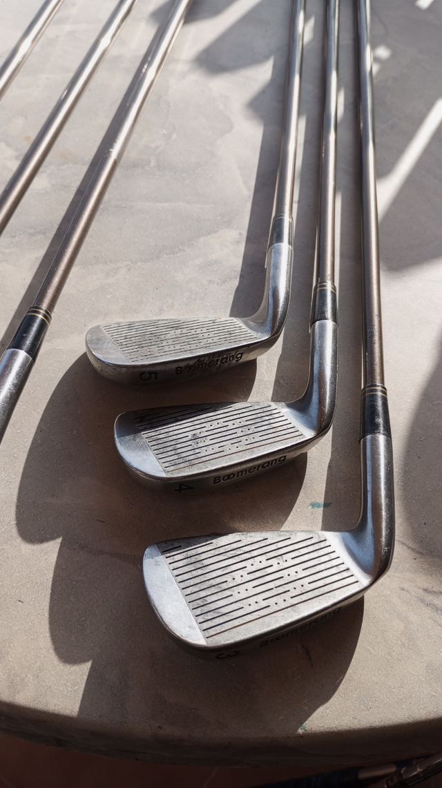 Bolsa y Palos de Golf