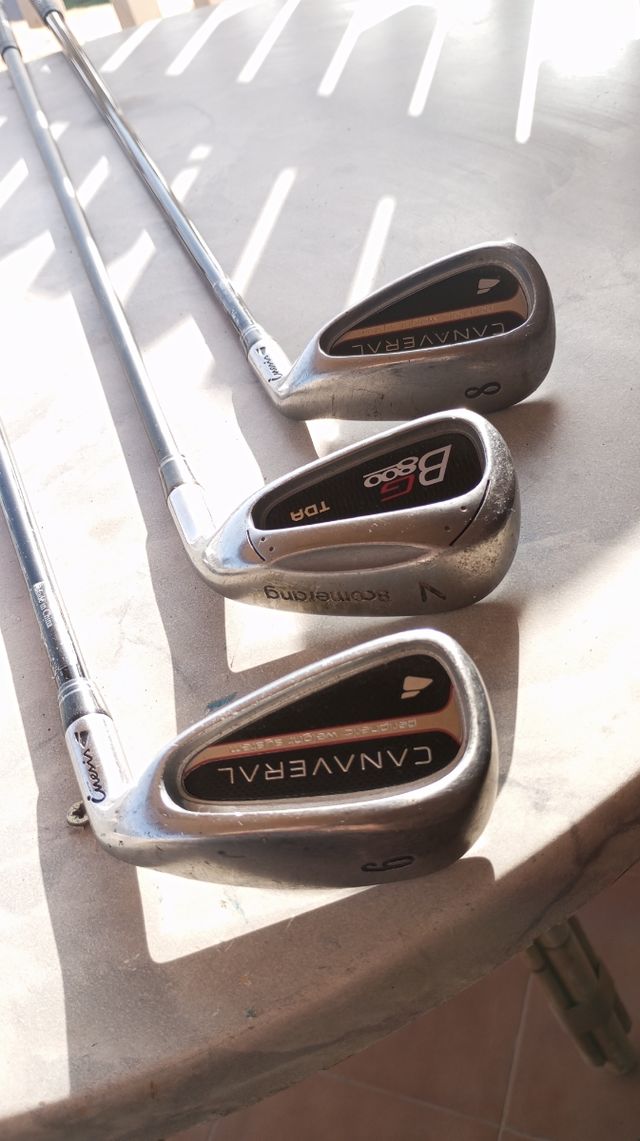 Bolsa y Palos de Golf