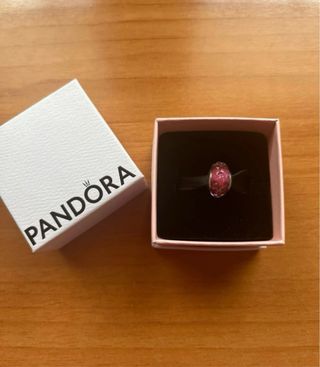 Charm Pandora