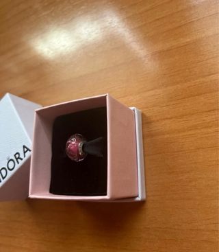 Charm Pandora