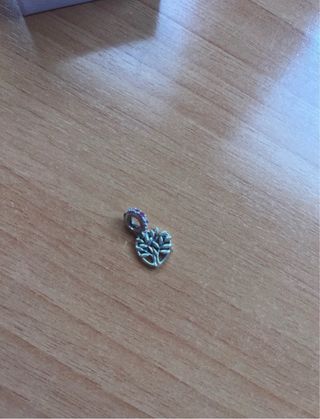 Charm Pandora