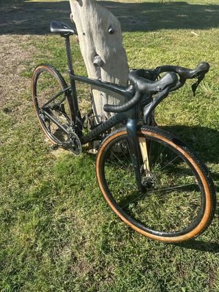 Specialized Diverge Sport Carbon