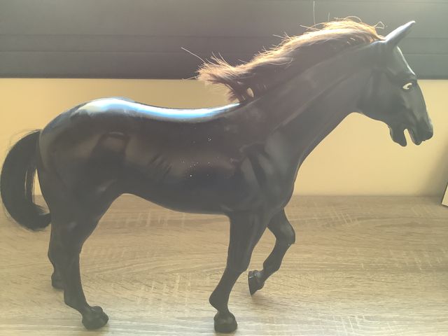 Caballo Negro del Cowboy e Indio Geyperman