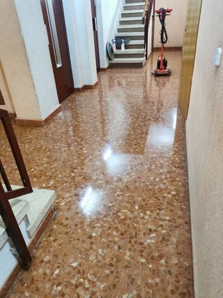 Abrillantado de suelos y limpieza de cristales