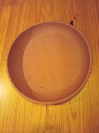 Plato para plantas