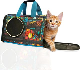 nestQ Transportin Pequeño Plegable (hasta 4kg)