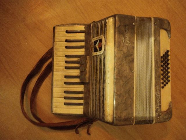 Acordeon Guerrini Superluxe. 199 €