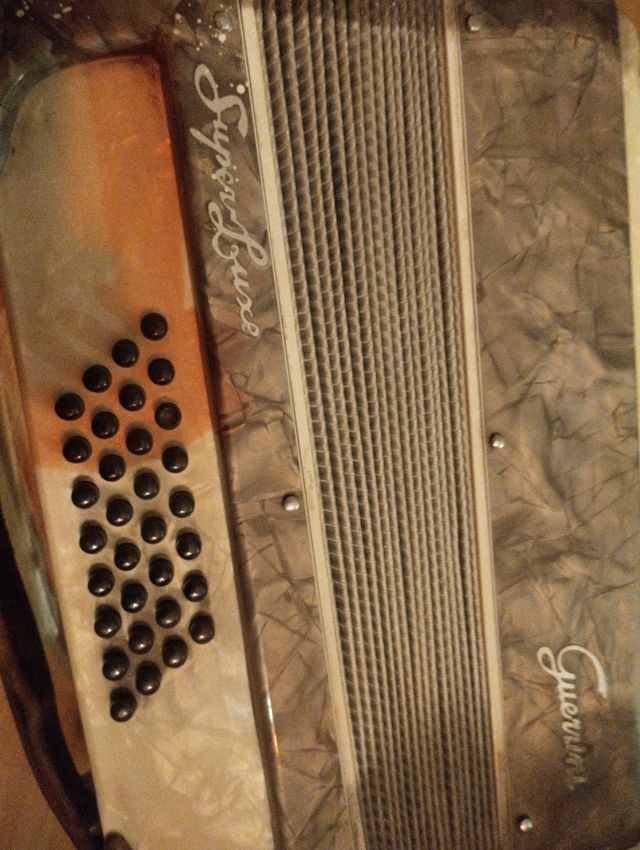 Acordeon Guerrini Superluxe. 199 €