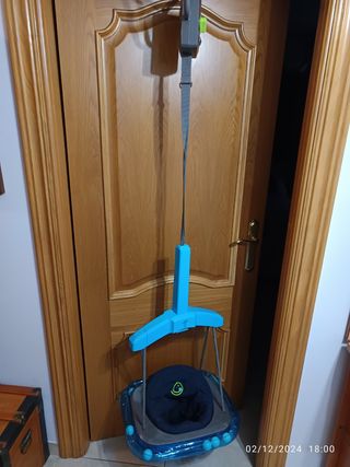 Columpio saltador Jane