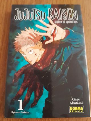 JUJUTSU KAISEN 01 (Ed. REGULAR)