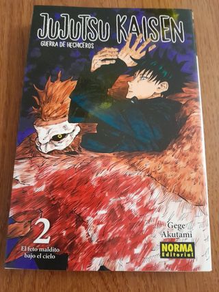 Jujutsu Kaisen 02