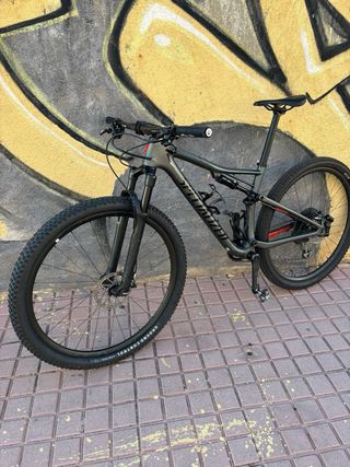 Specialized Epic 2020 gris mate