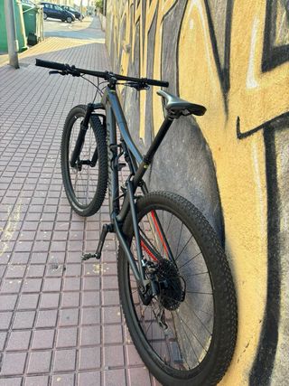 Specialized Epic 2020 gris mate