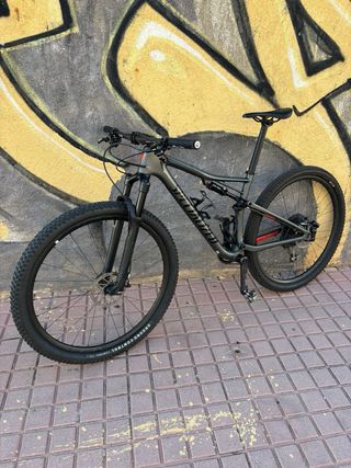 Specialized Epic 2020 gris mate